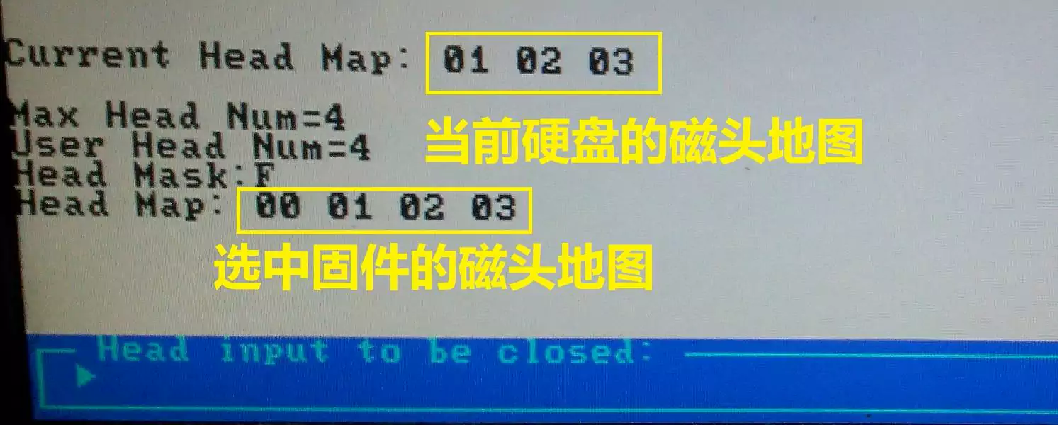 trex砍头和降容方法10